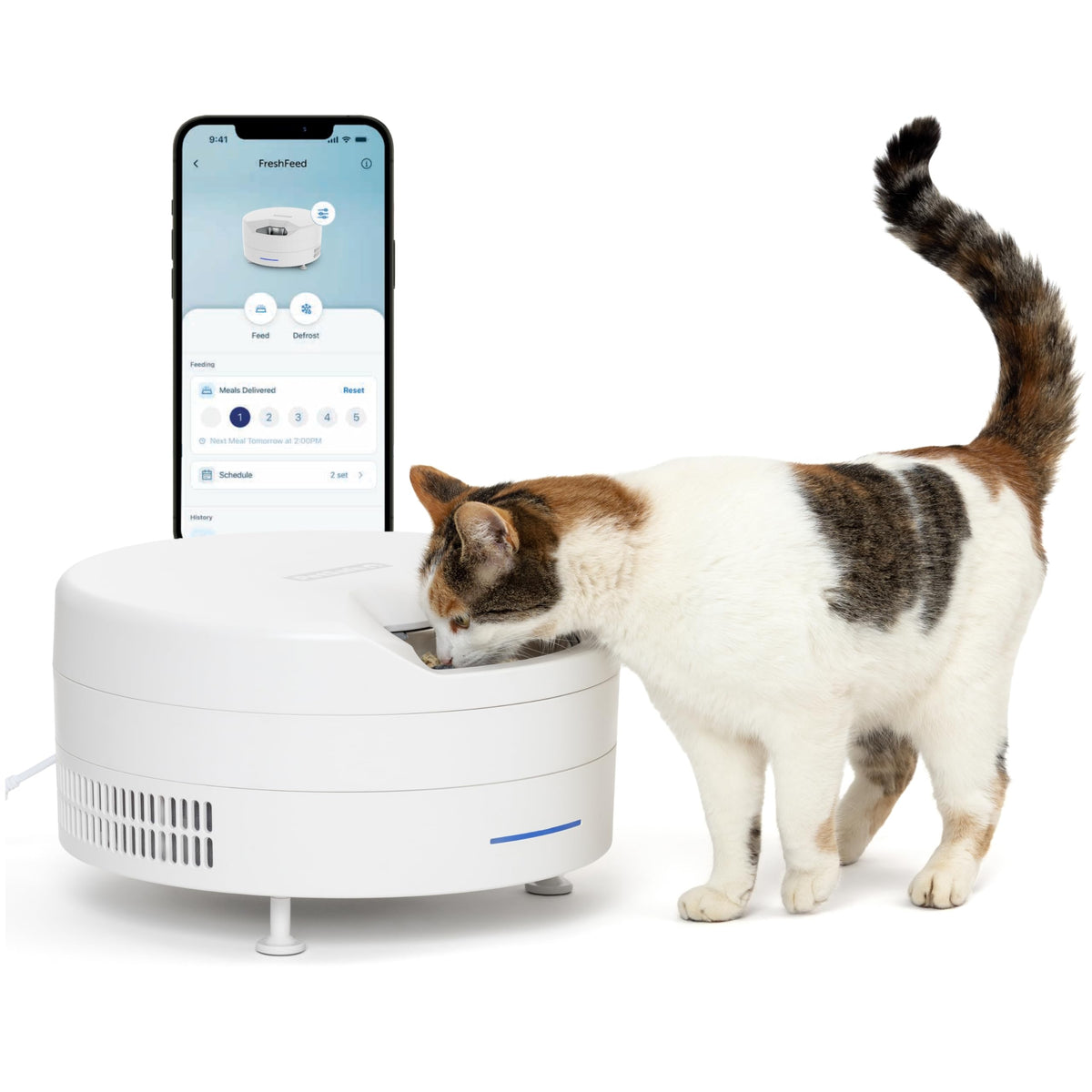 Refrigerated Wet Food Pet Feeder with App Control