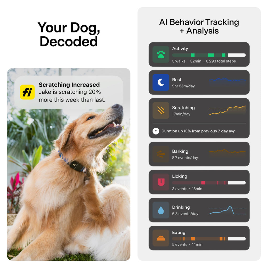 Smart Dog Collar with GPS and Health Tracking Membership
