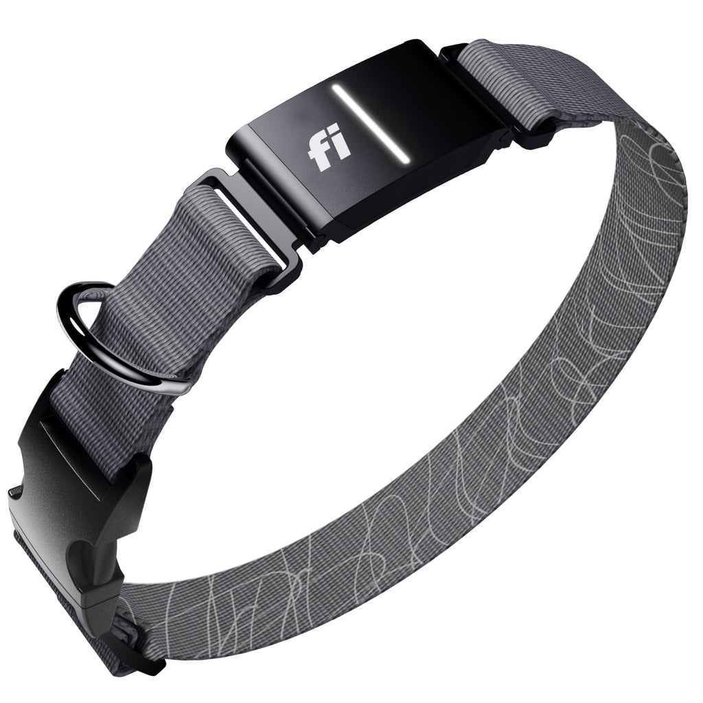 Smart Dog Collar with GPS and Health Tracking Membership