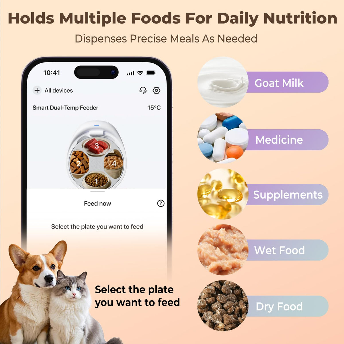 Automatic Cat Food Feeder
