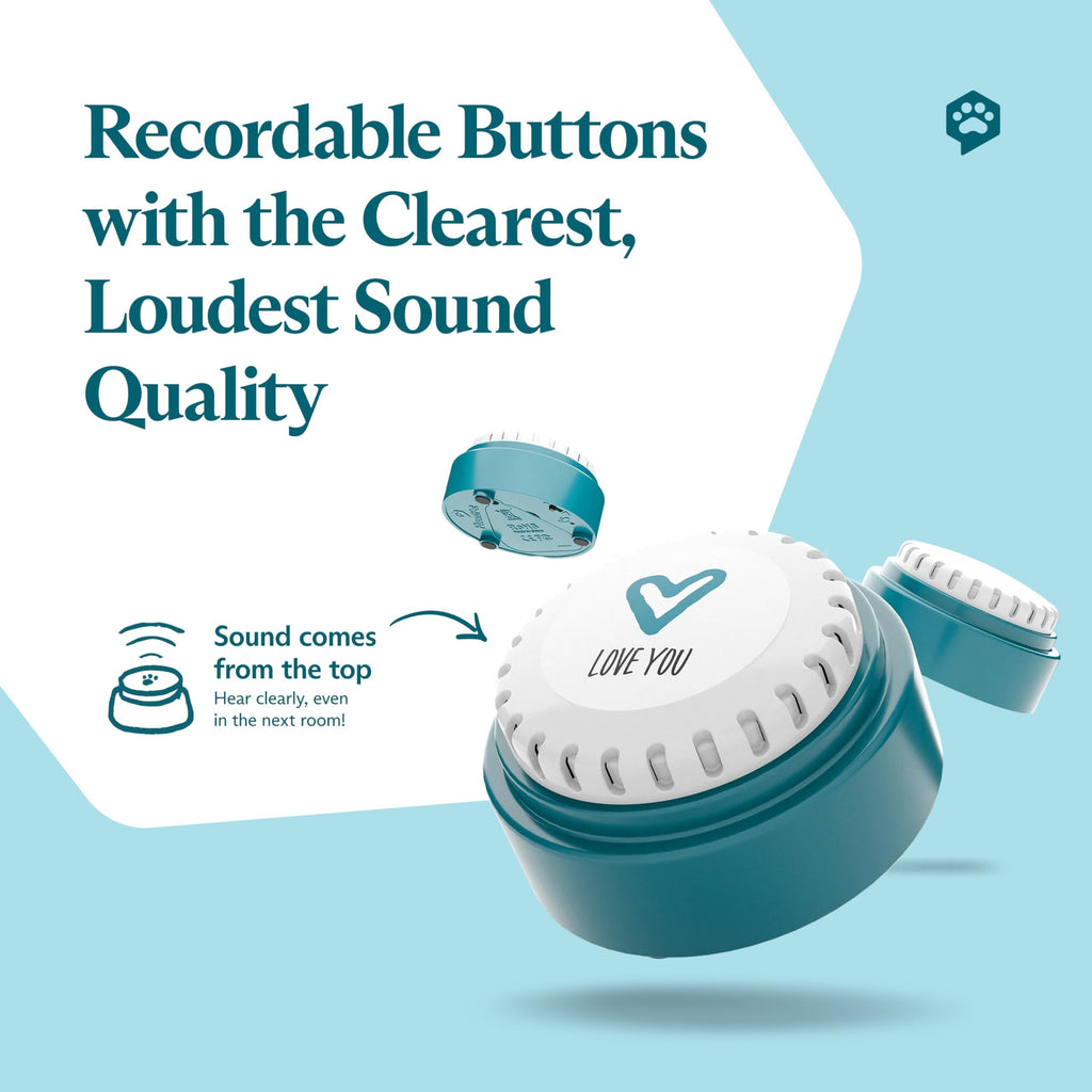 Recordable Pet Talking Button for Dog and Cat Communication