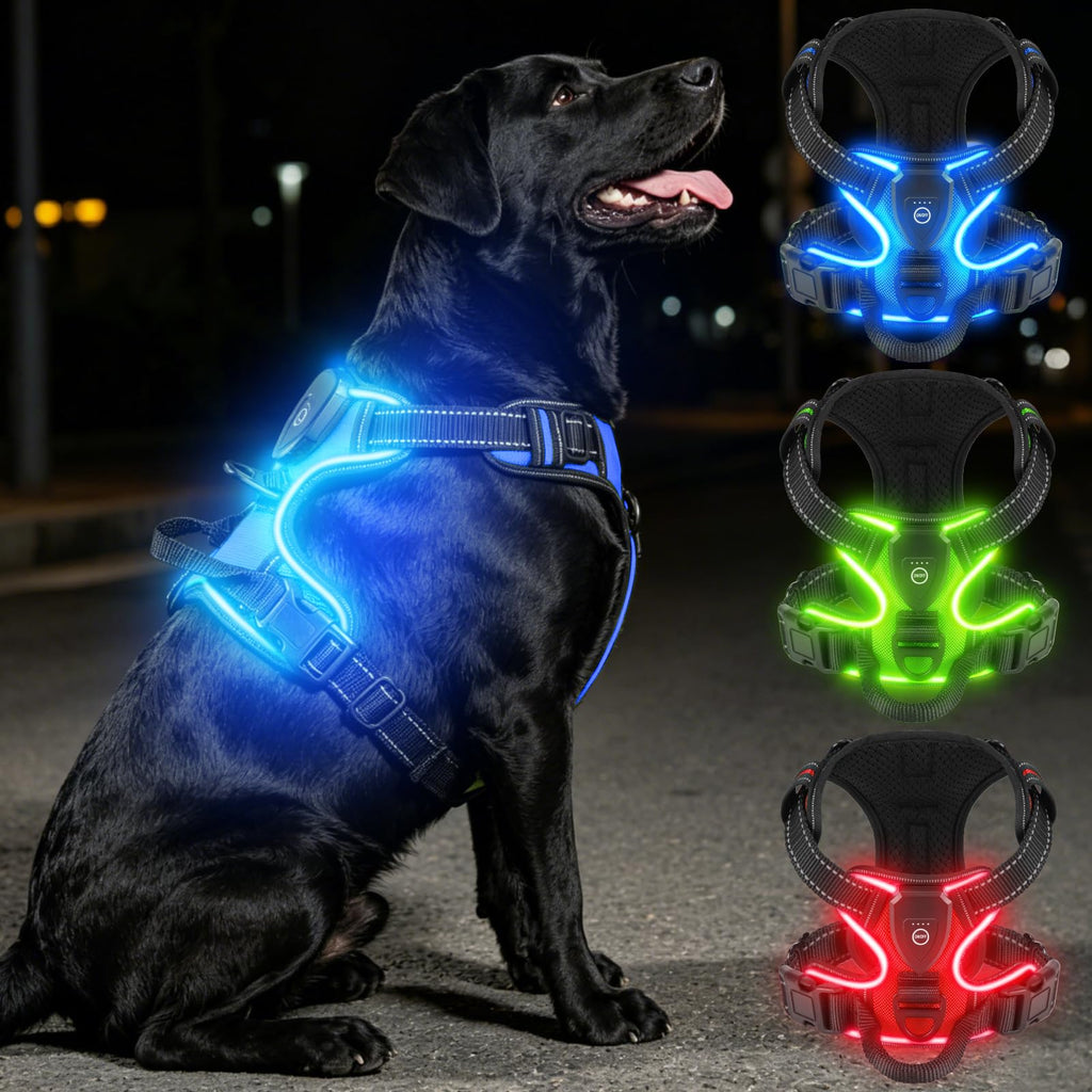Rechargeable LED Dog Harness with Three Lighting Modes