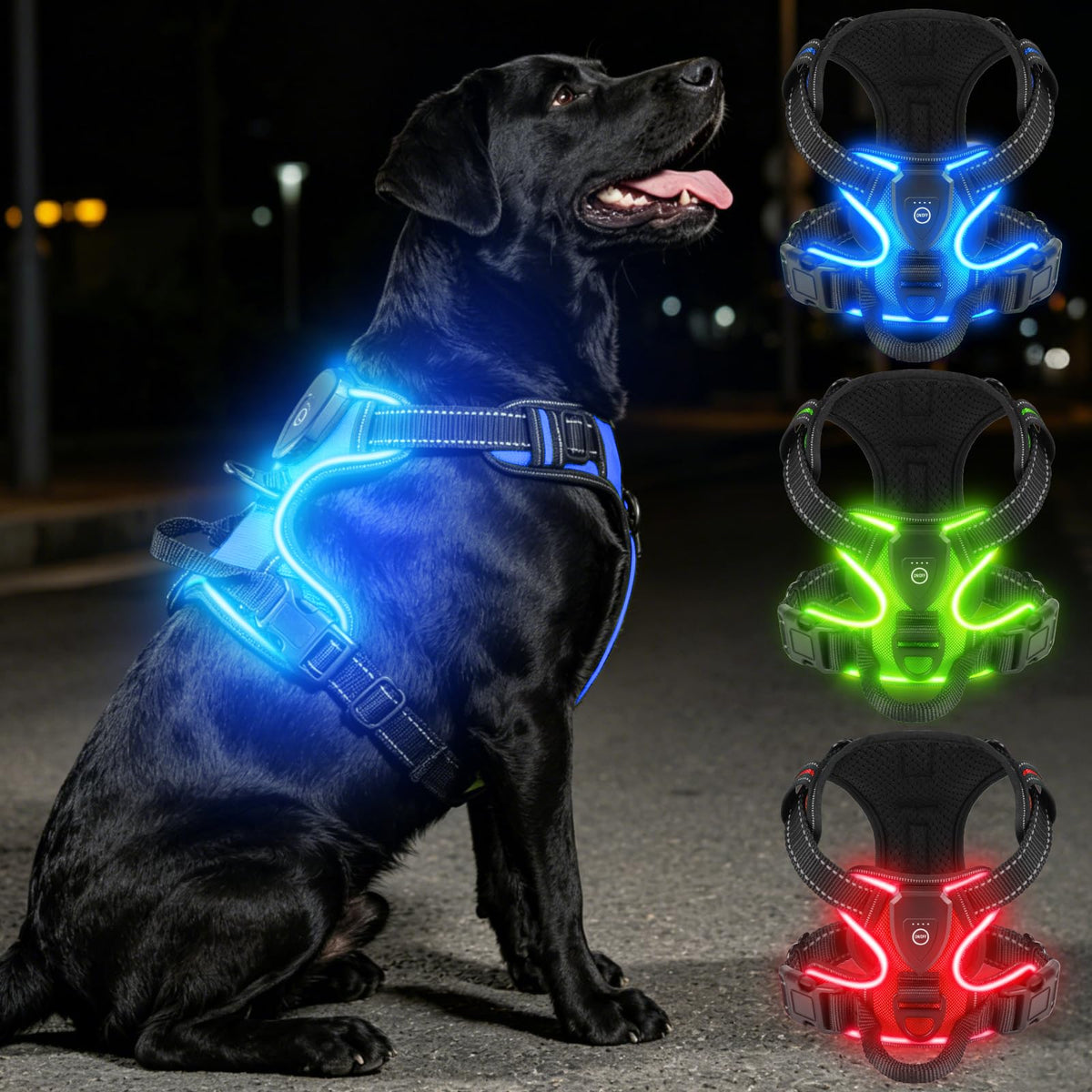 Rechargeable LED Dog Harness with Three Lighting Modes