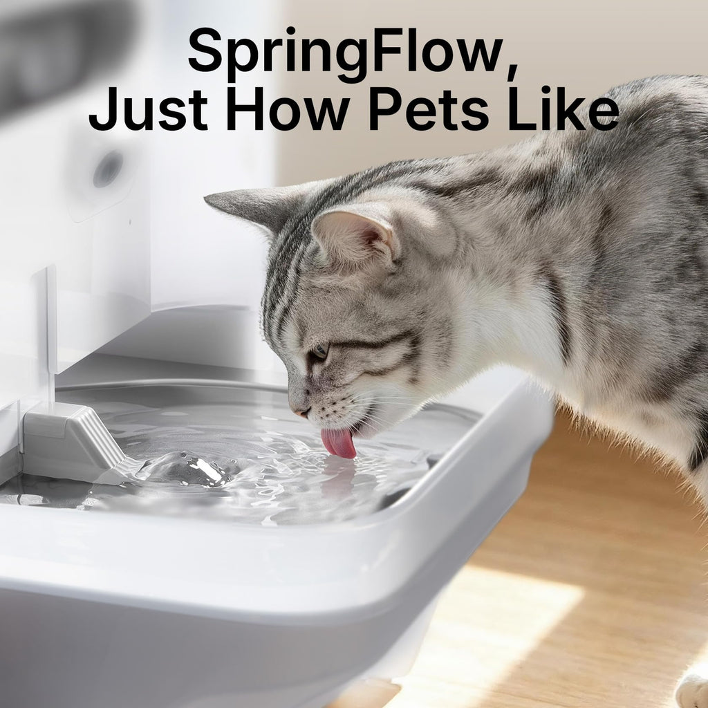 Smart Cat Water Fountain with AI Camera and Filterless Design