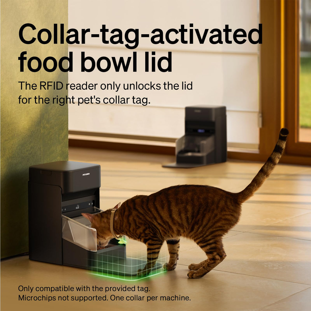 RFID Automatic Cat Feeder with Collar Tag Meal Access
