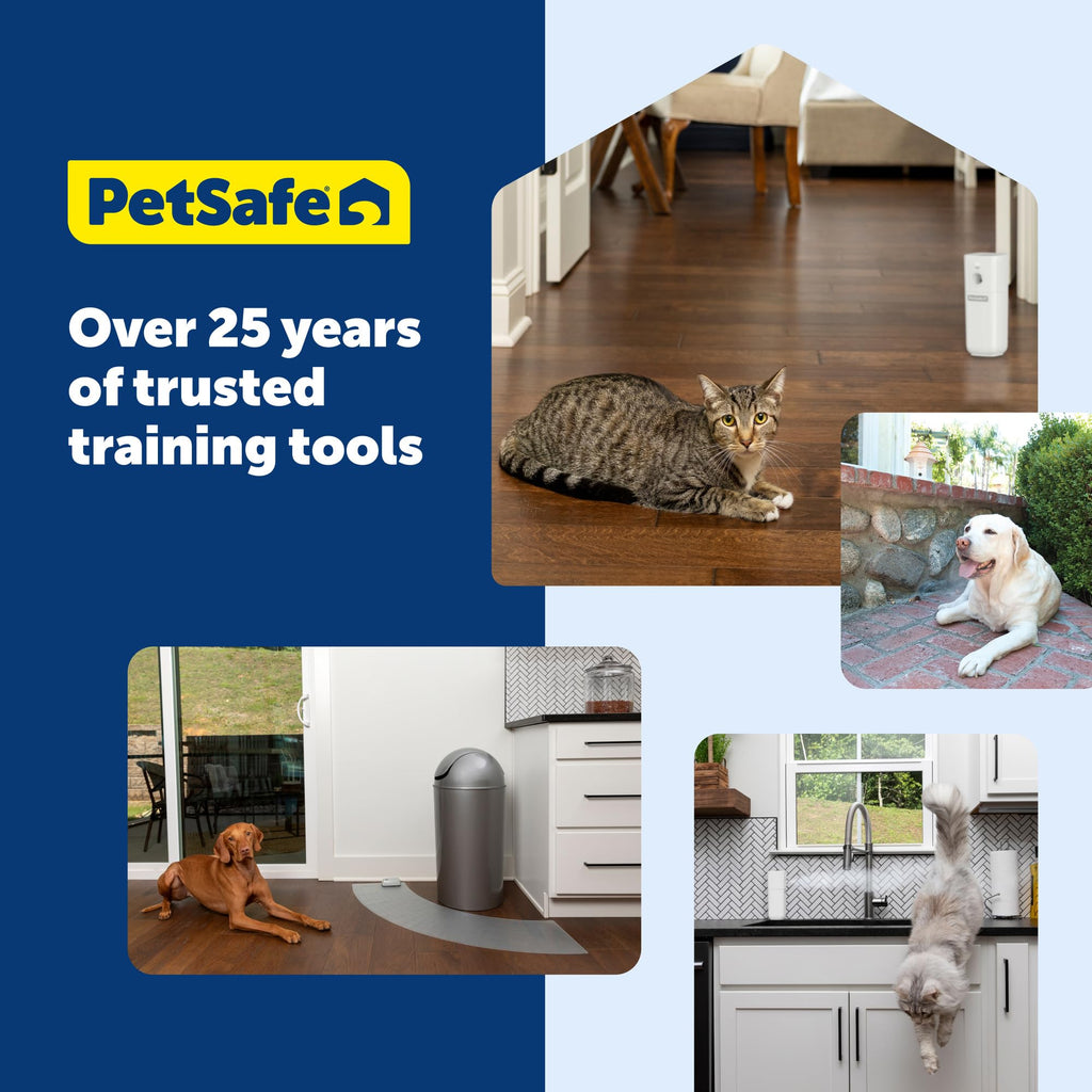 Remote Treat Dispenser for Dog Training and Reward Sessions