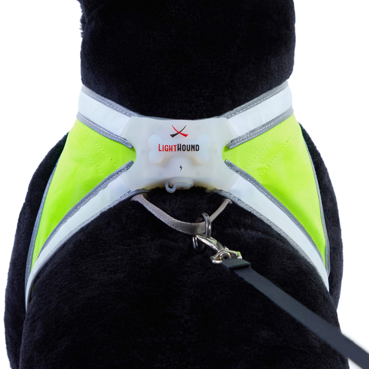 Rechargeable Reflective LED Dog Harness with Multicolor Lights