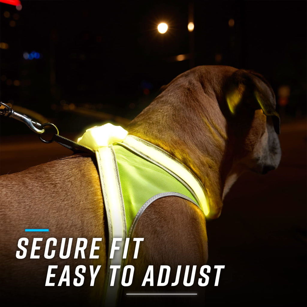 Rechargeable Reflective LED Dog Harness with Multicolor Lights