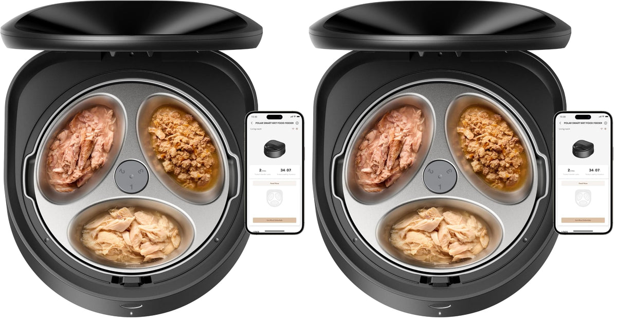 Automatic Wet Food Cat Feeder with Stainless Steel Bowl