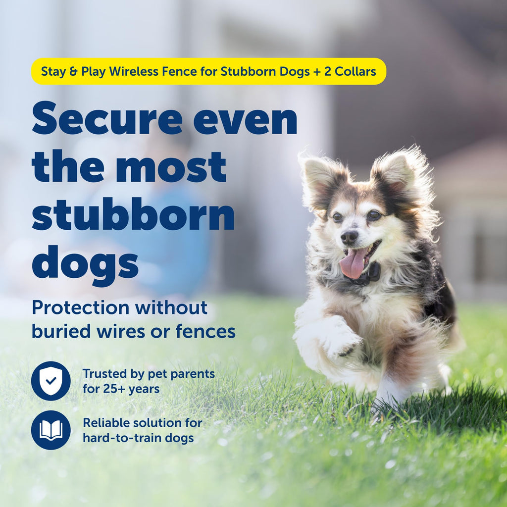 Wireless Pet Fence with Waterproof Rechargeable Training Collar