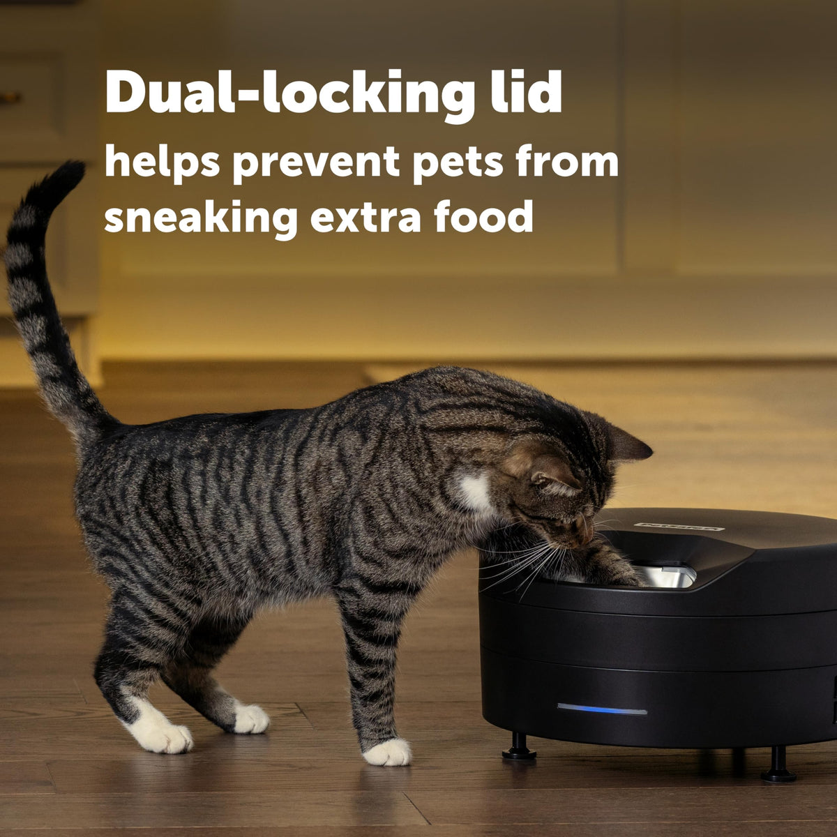 Refrigerated Wet Food Pet Feeder with App Control