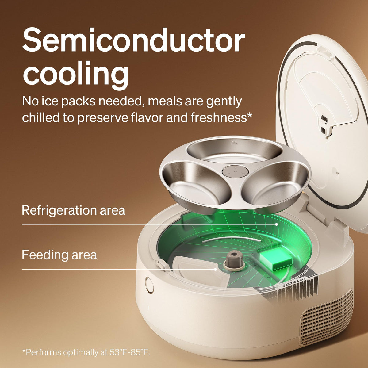 Automatic Wet Food Cat Feeder with Stainless Steel Bowl