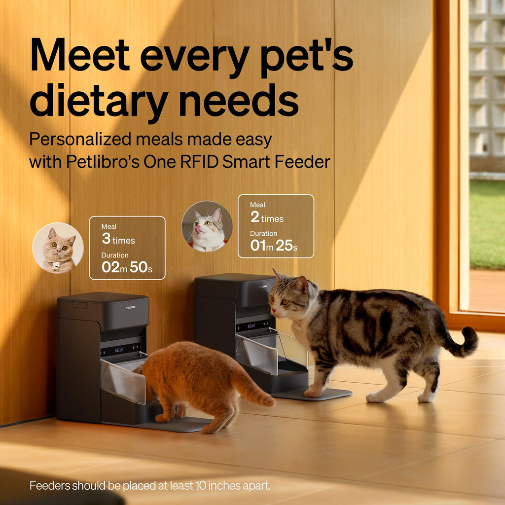 RFID Automatic Cat Feeder with Collar Tag Meal Access