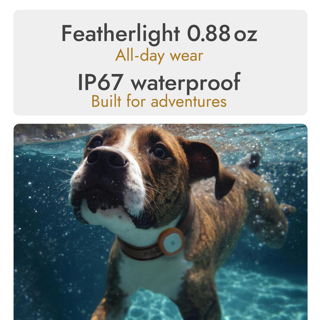 GPS Bluetooth Pet Tracker with Virtual Fence and Health Monitoring