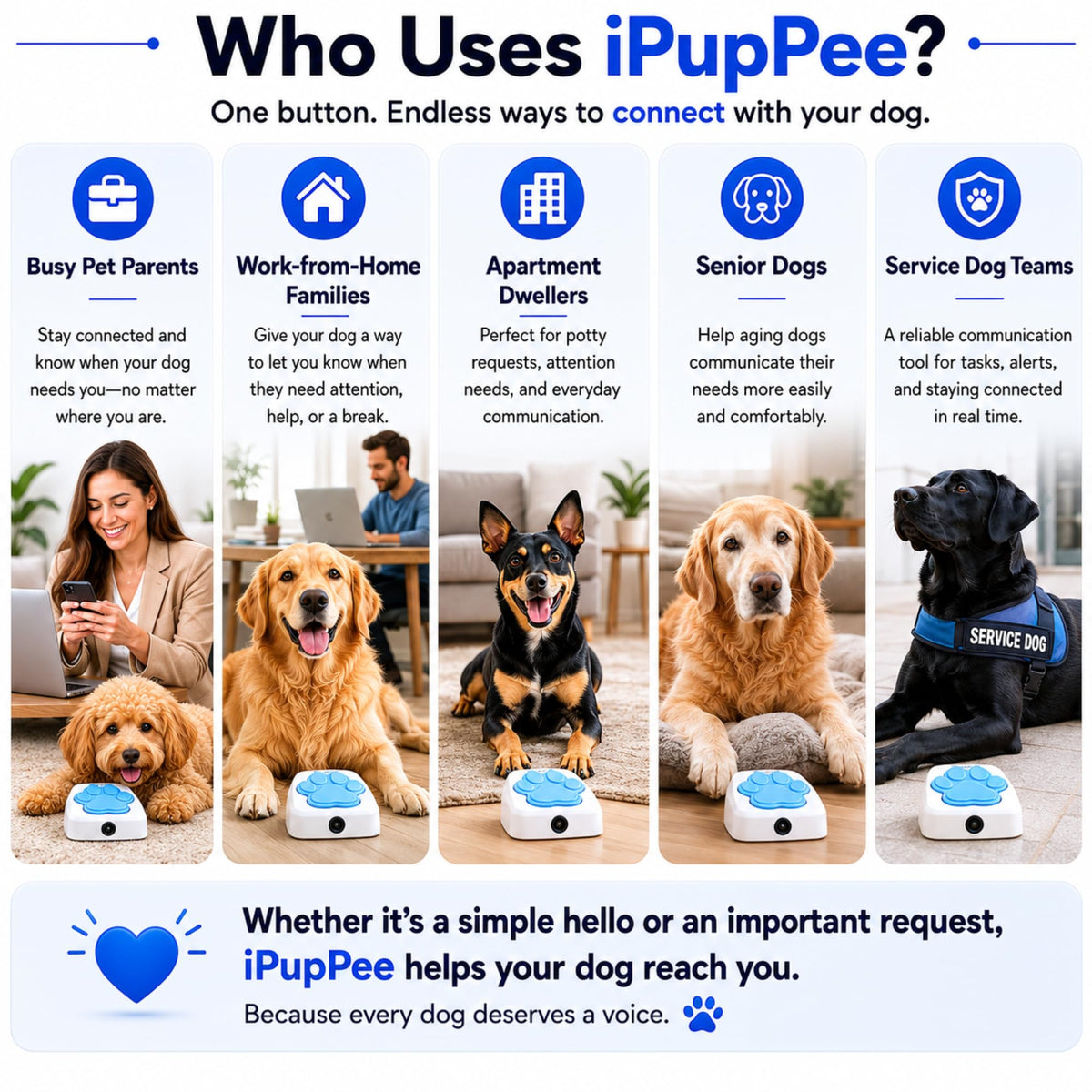 Dog Potty Training Talking Button with Medical Alert Camera