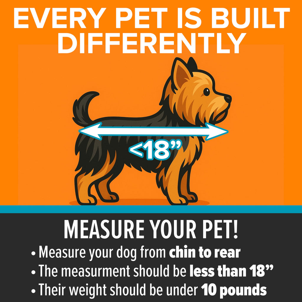 Travel Safety Pet Carrier for Cats and Small Dogs