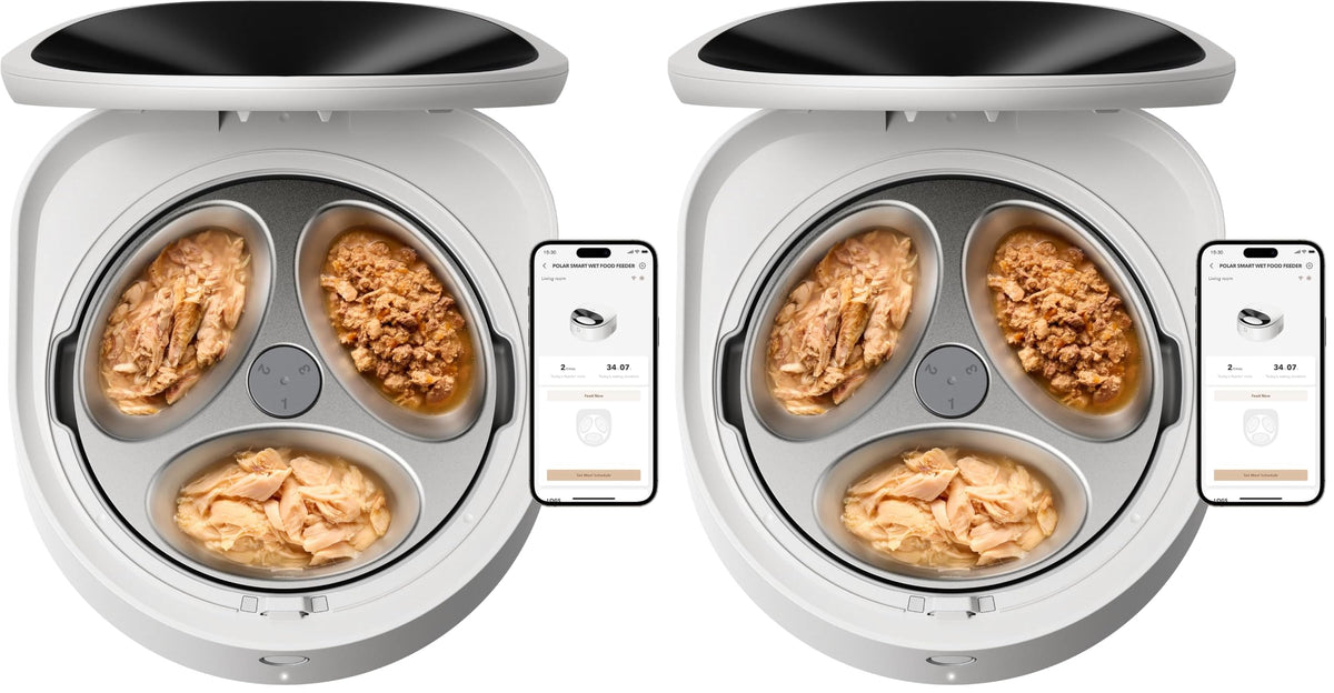 Automatic Wet Food Cat Feeder with Stainless Steel Bowl