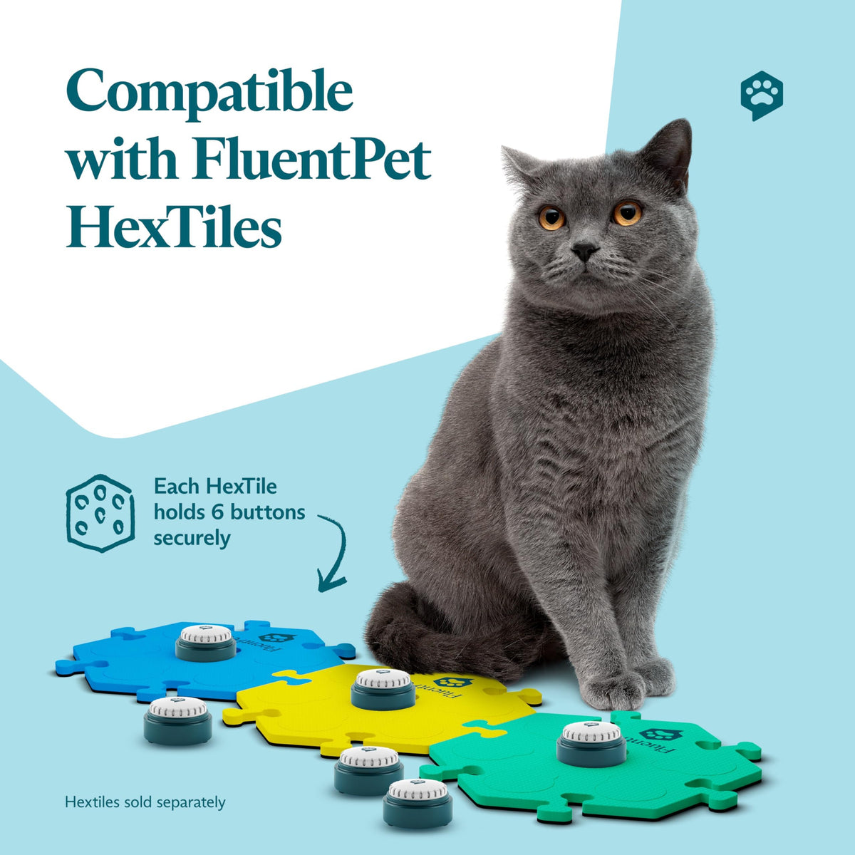 Recordable Pet Talking Button for Dog and Cat Communication