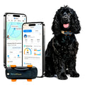 GPS Dog Tracker with Virtual Fence and AI Health Monitoring