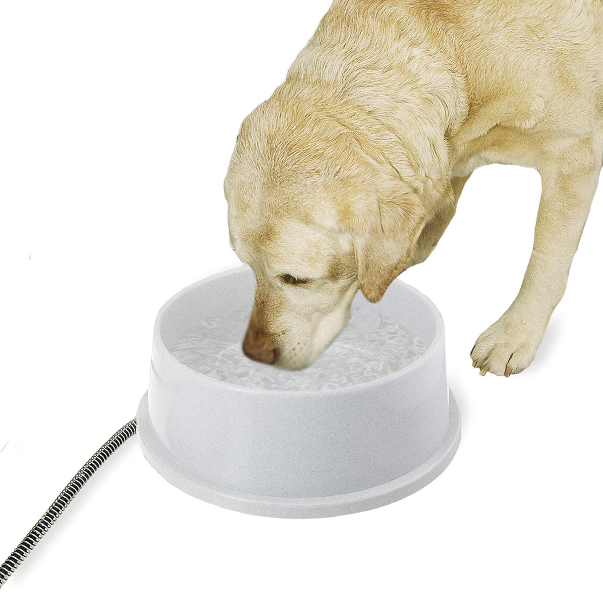 Outdoor Heated Pet Water Bowl for Cats and Dogs in Winter