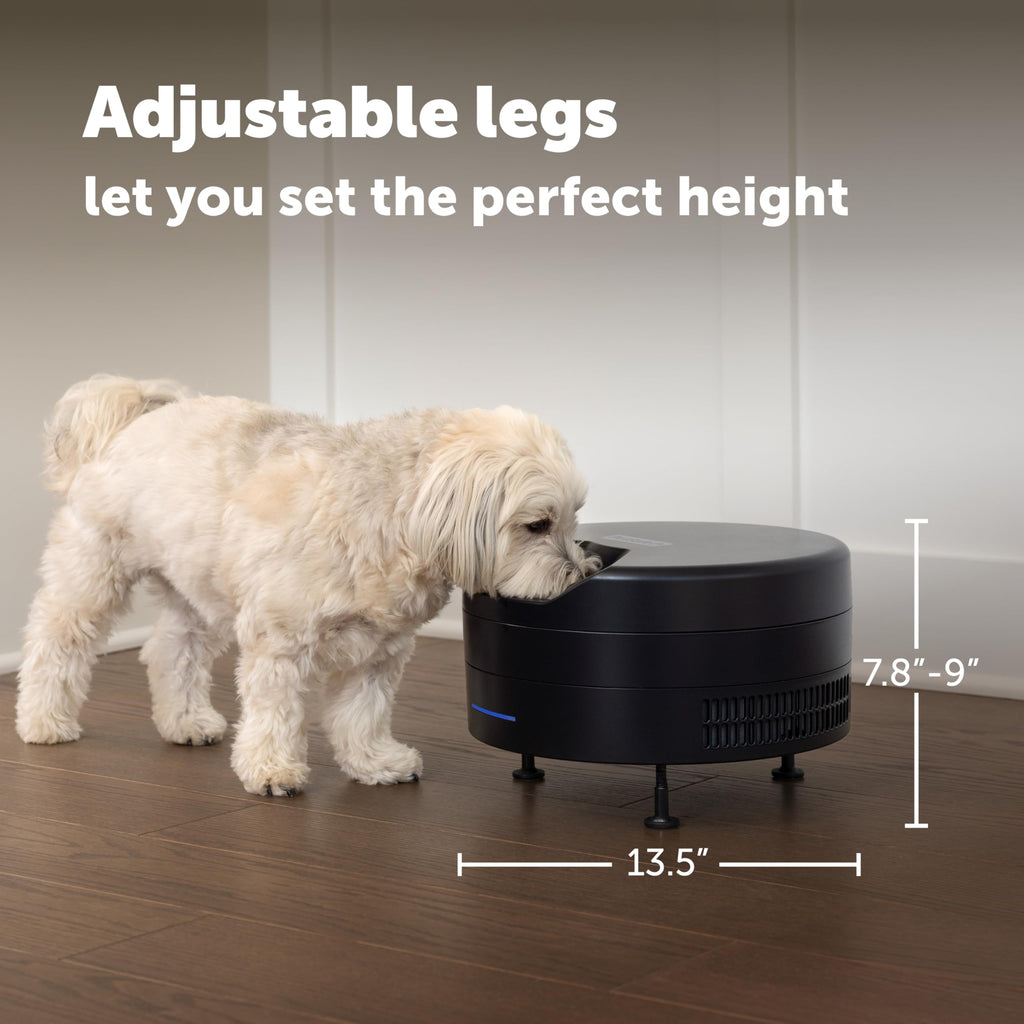 Refrigerated Wet Food Pet Feeder with App Control