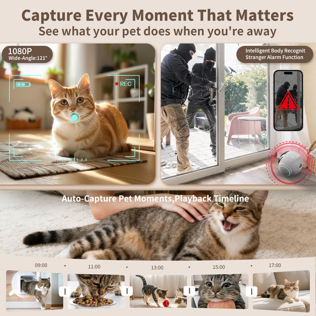 Moving Pet Camera with App Control and Remote Monitoring