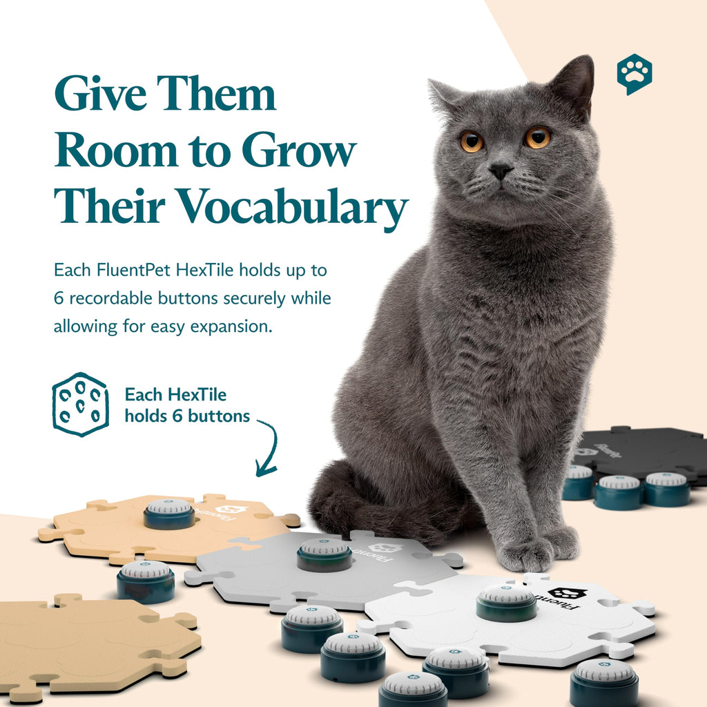 Pet Talking Button Kit for Dog and Cat Communication
