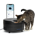 Refrigerated Wet Food Pet Feeder with App Control