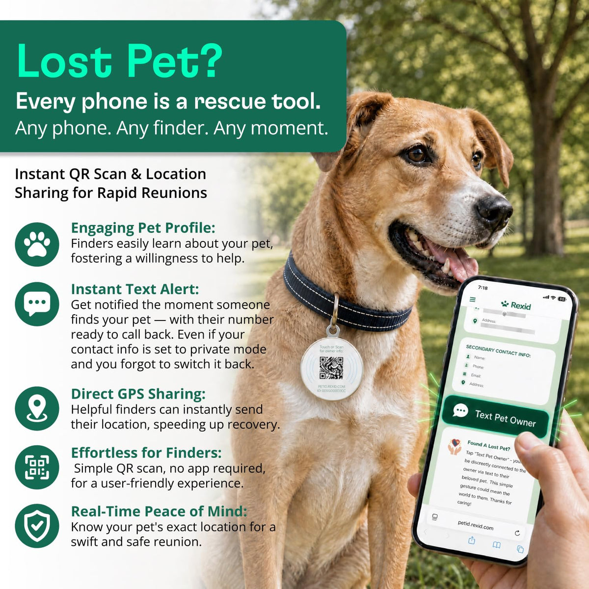 Smart QR Code Dog ID Tag with Online Profile and Owner Contact