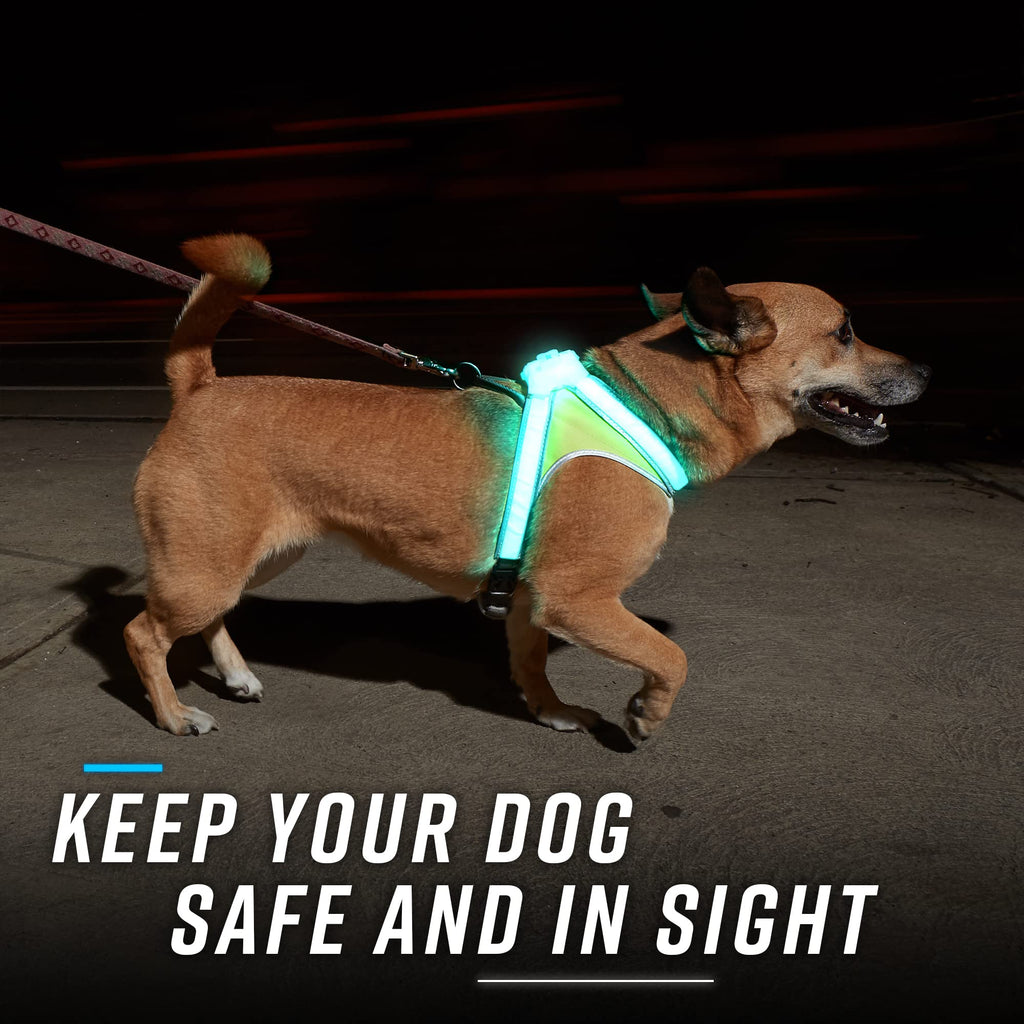 Rechargeable Reflective LED Dog Harness with Multicolor Lights