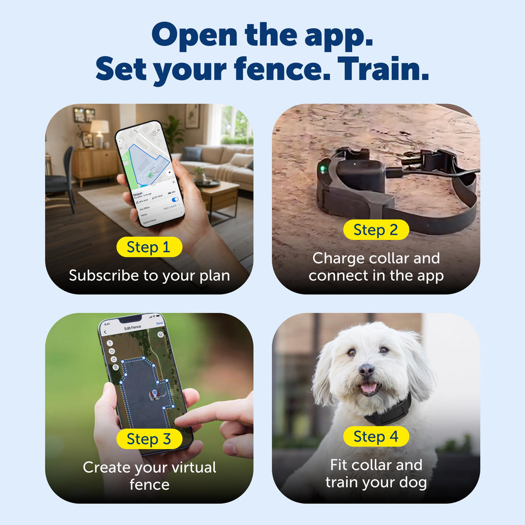 Replacement Dog Collar Strap for GPS Wireless Fence System