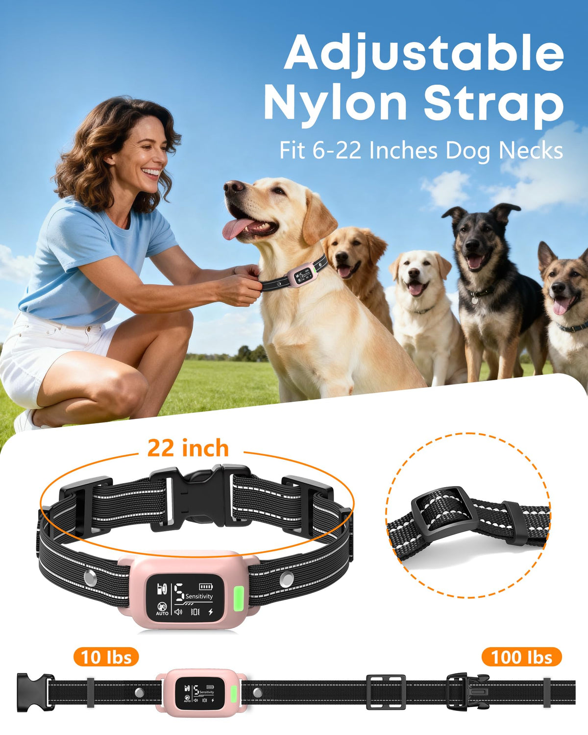 2 in 1 Dog Training Collar with Remote Anti Bark and LED Light