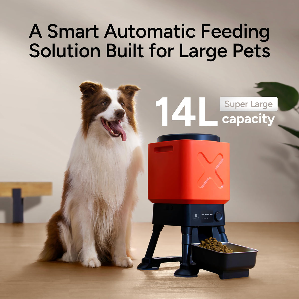 14L Large Capacity Automatic Dog Feeder for Large Dogs
