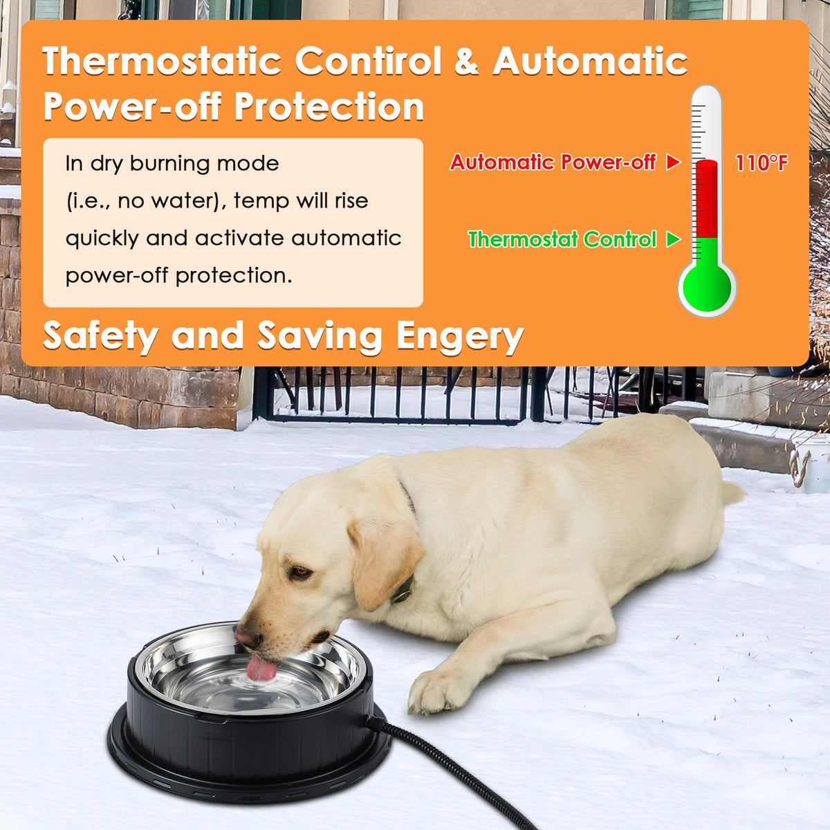 80oz Heated Pet Water Bowl with Thermostatic Temperature Control