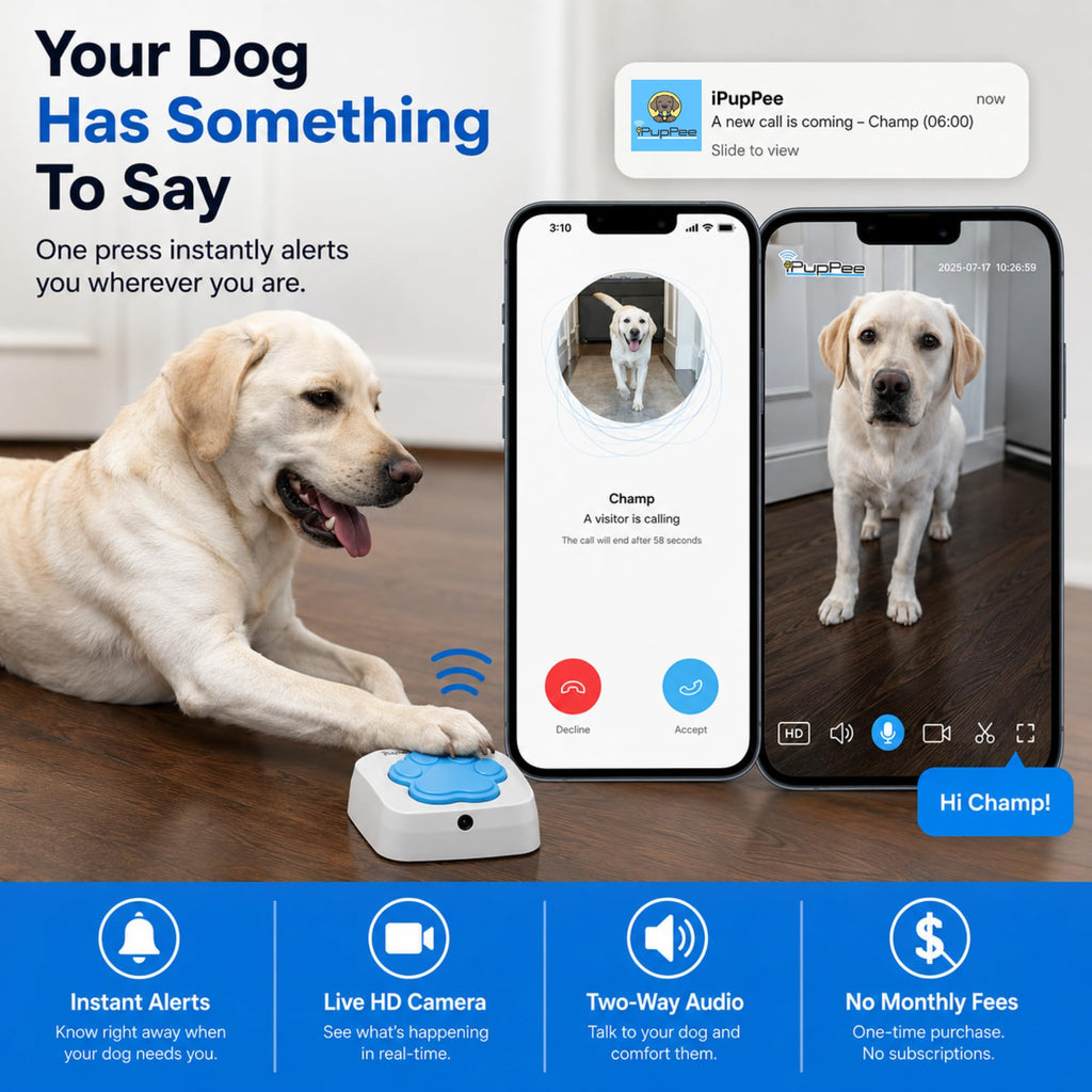 Dog Potty Training Talking Button with Medical Alert Camera