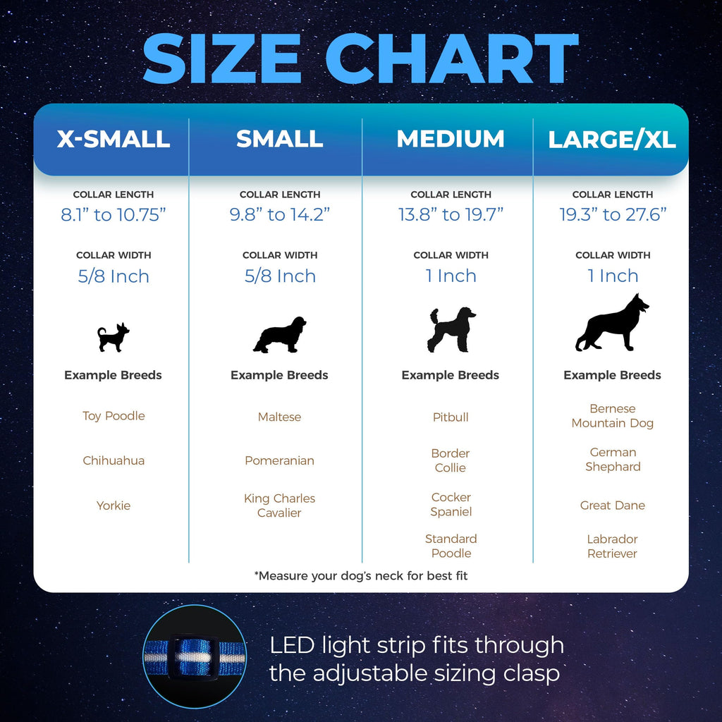Rechargeable LED Light Up Dog Collar for Night Safety