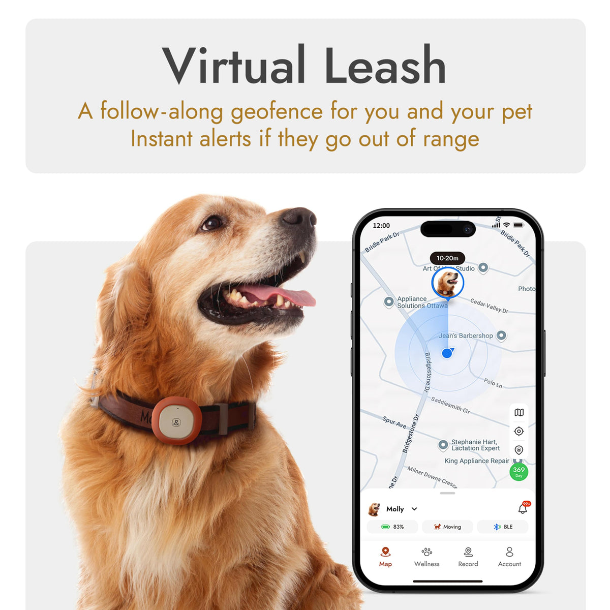GPS Bluetooth Pet Tracker with Virtual Fence and Health Monitoring