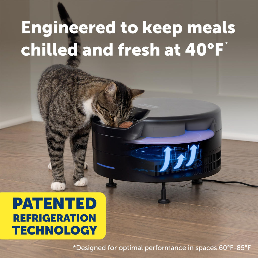 Refrigerated Wet Food Pet Feeder with App Control