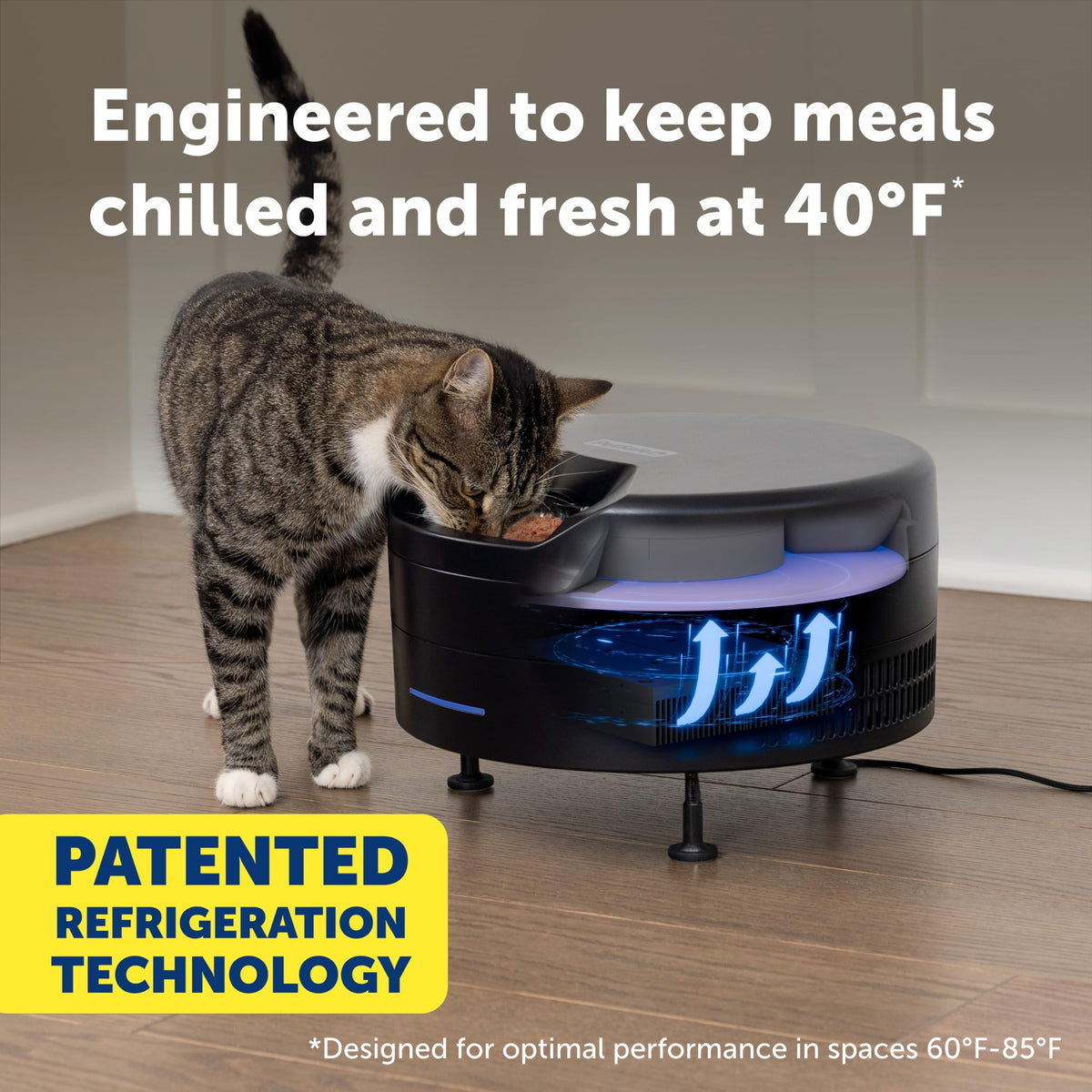 Refrigerated Wet Food Pet Feeder with App Control