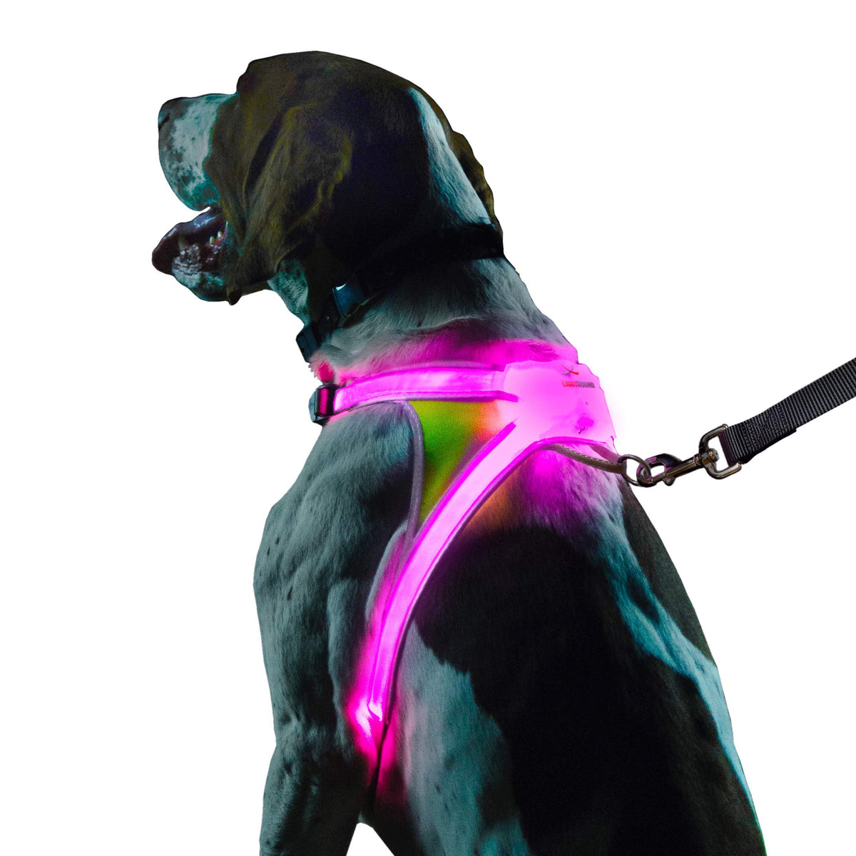 Rechargeable Reflective LED Dog Harness with Multicolor Lights