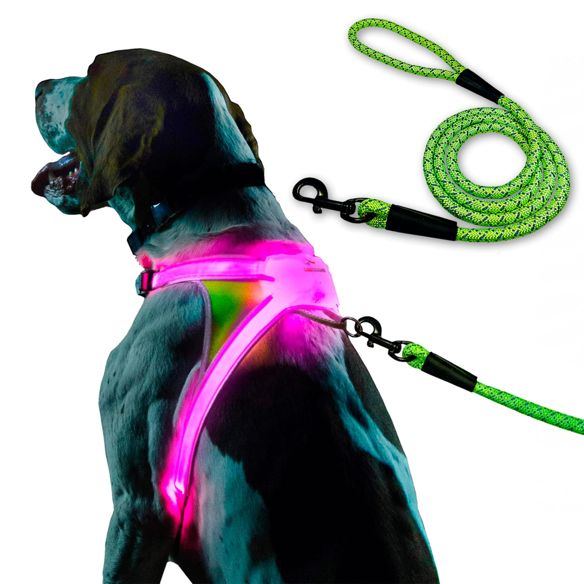 Rechargeable Reflective LED Dog Harness with Multicolor Lights