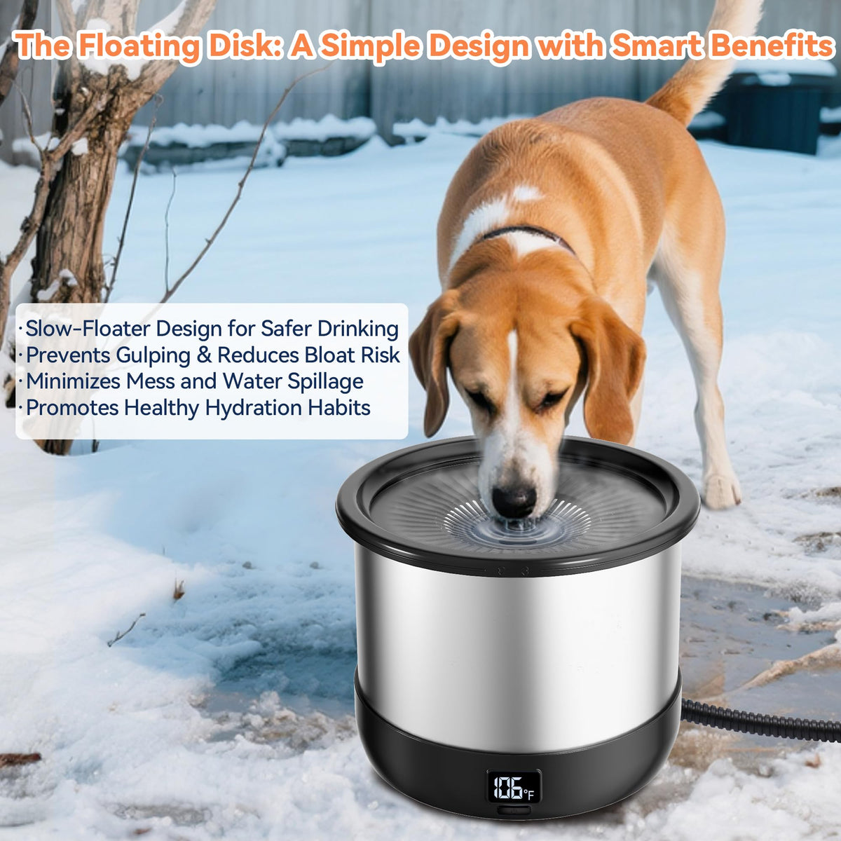 Heated Dog Water Bowl with Digital Display and Temperature Control