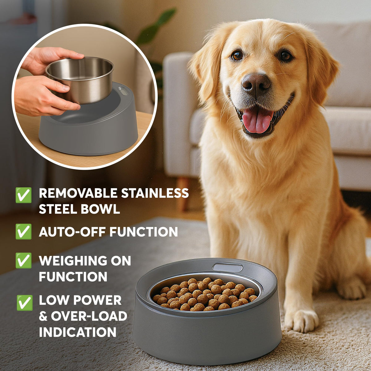 Stainless Steel Pet Feeding Bowl with Built In Digital Scale