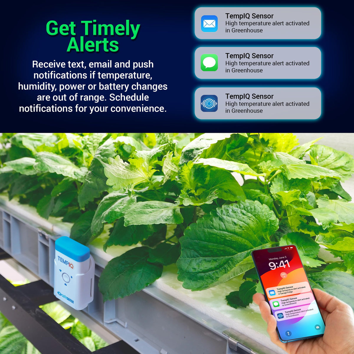 WiFi Temperature and Humidity Sensor with App Alerts