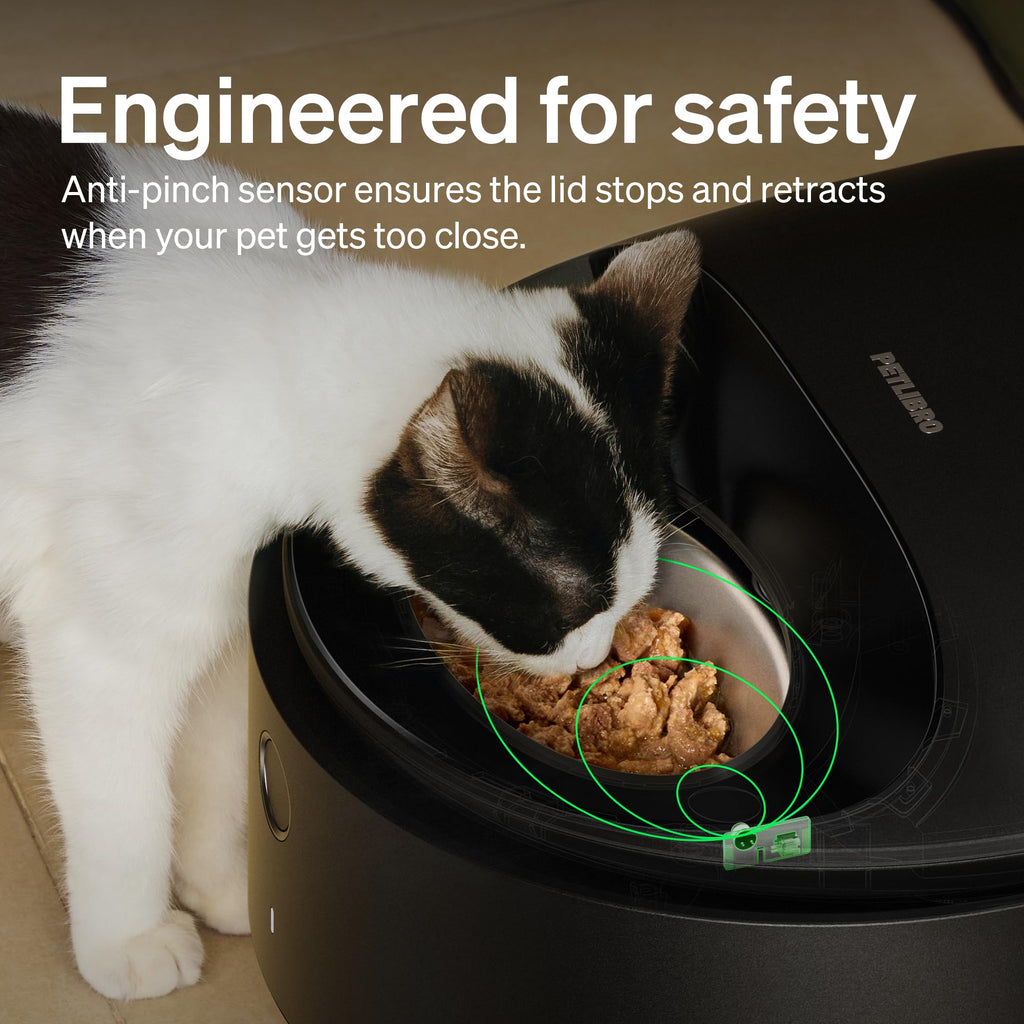Automatic Wet Food Cat Feeder with Stainless Steel Bowl