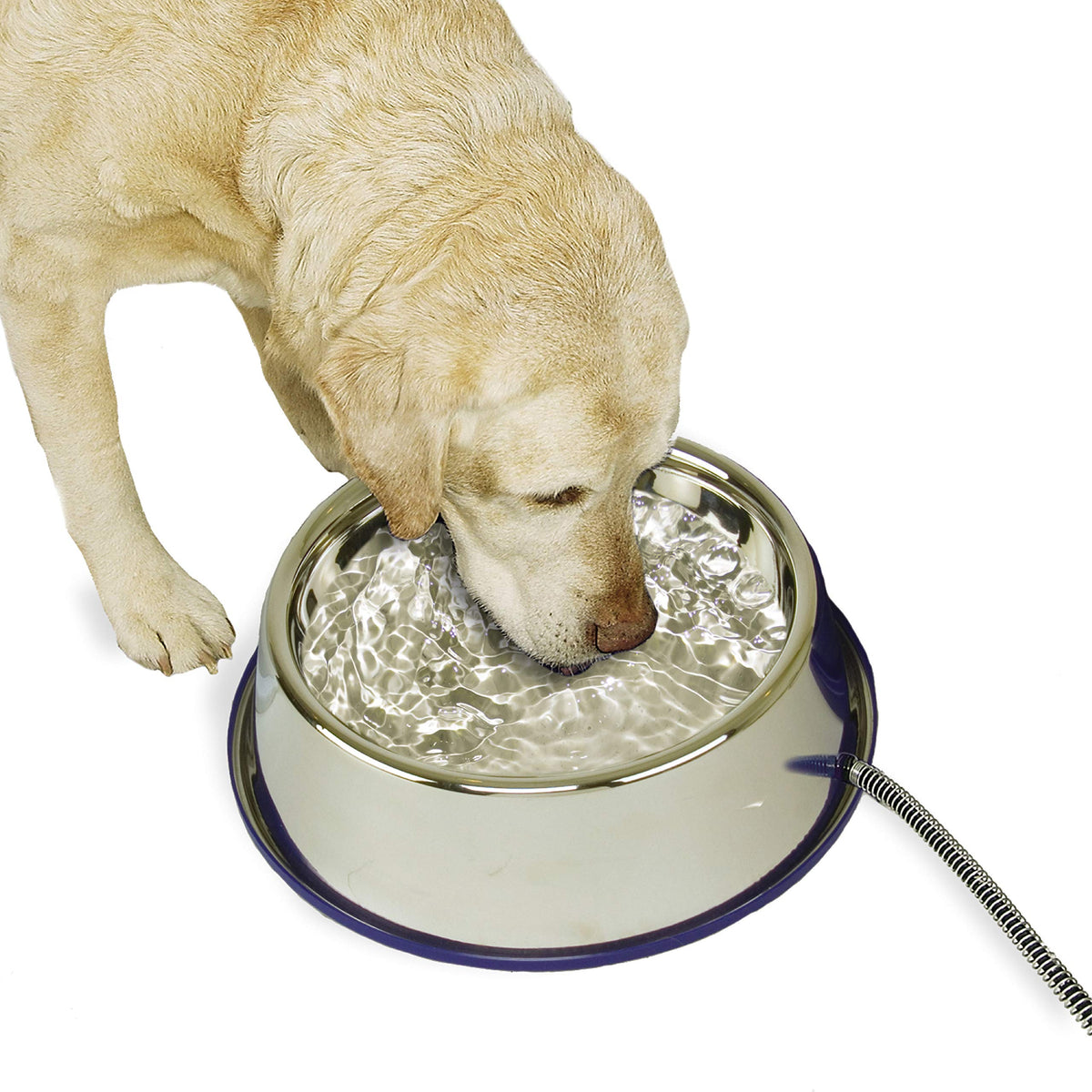 Outdoor Heated Pet Water Bowl for Cats and Dogs in Winter