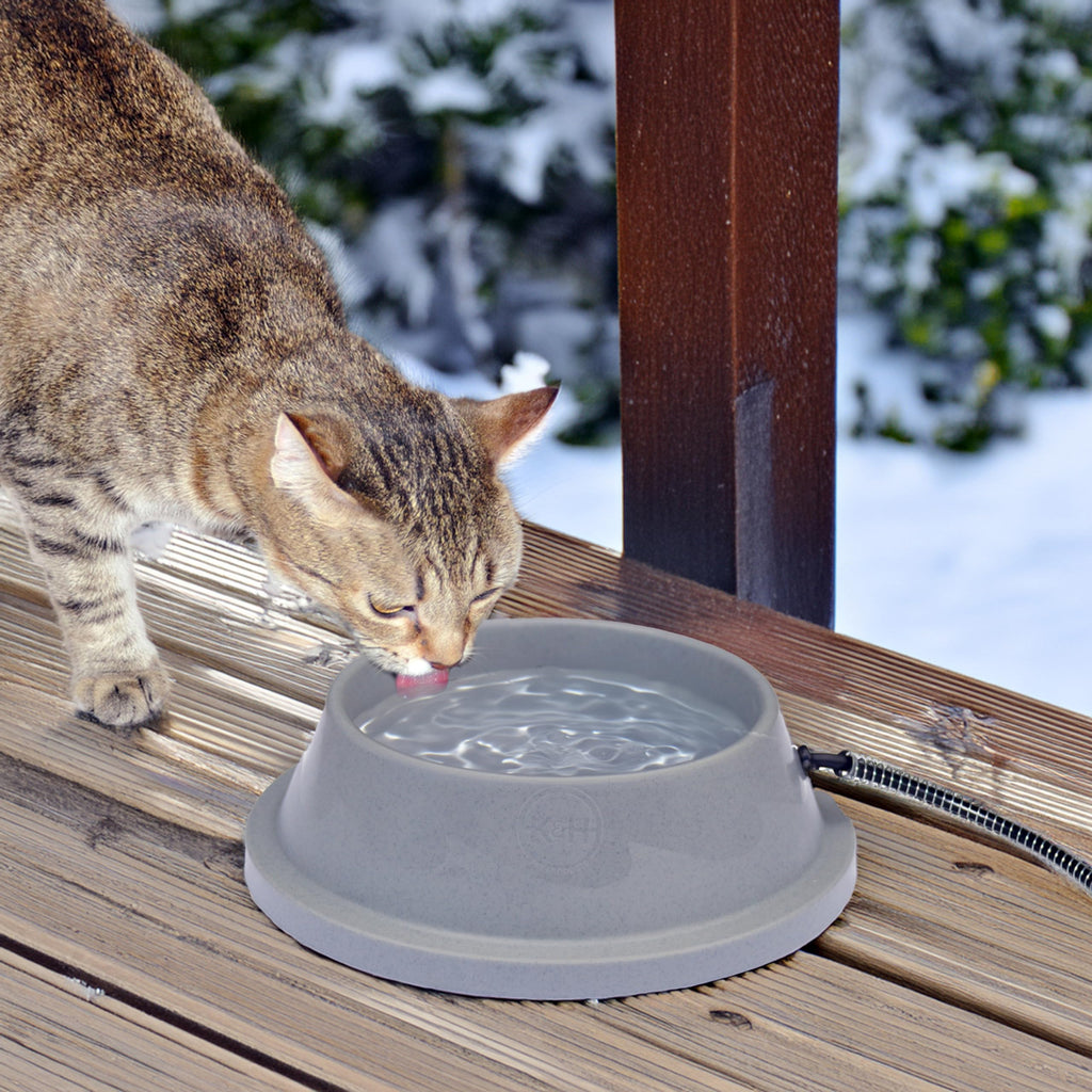 Outdoor Heated Pet Water Bowl for Cats and Dogs in Winter