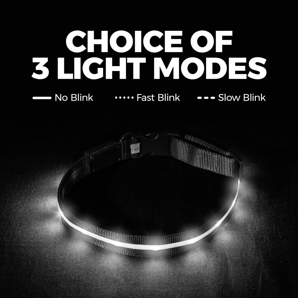 Rechargeable LED Light Up Dog Collar for Night Safety