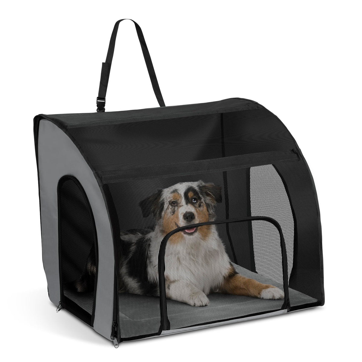 Travel Safety Pet Carrier for Cats and Small Dogs